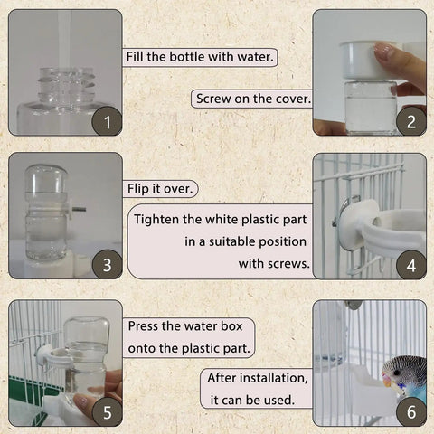 Instructions for Straight Up No Drama Automatic Bird Cage Feeders And Waterers With Sturdy Perch top shelf parrot water bottle setup.