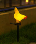 Outdoor Chicken Solar Lights Resin Garden Decor For Patio And Yard Cute Chicken Lamps With Cozy Vibe And Warm Glow