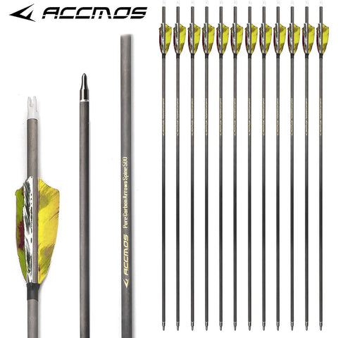 Six Pack 25 Inch Arrows With 800 Spine And Removable 100 Grain Tips For Target Practice And Hunting 3 Inch Turkey Feather Fletching