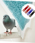 Soft Bird Foot Muffs And Leg Bands Set For Parrots, Pigeons, Cockatiels on a pigeon with colorful suede foot rings