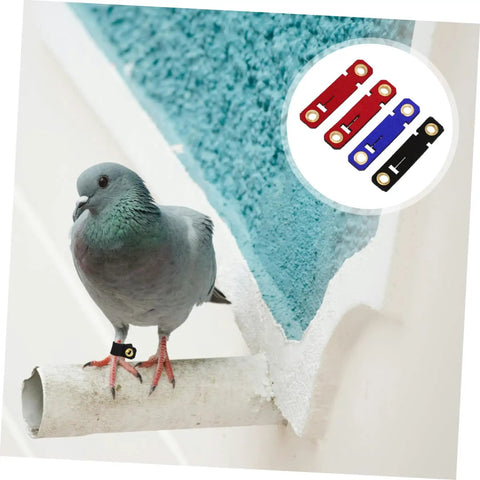 Soft Bird Foot Muffs And Leg Bands Set For Parrots, Pigeons, Cockatiels on a pigeon with colorful suede foot rings