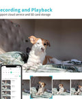 Dog resting on bed monitored by 2K HD Pet Camera With 360 Degree Pan Tilt 8X Optical Zoom Night Vision Motion Tracking Alarm.