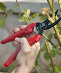 Using ComfortGEL Bypass Hand Pruner with Three Quarters Inch Cut Capacity Red Handle for quick no fuss pruning of live stems and small branches.