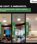 Ultra Slim 6 Inch LED Recessed Downlight With Dimmable Brightness And 5 CCT Tunable Color Temperature shown in living room, office, and kitchen settings