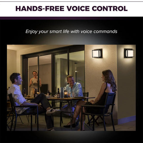 Outdoor Smart Wall Lights With Alexa And Google Assistant Control No Brainer Easy Setup RGB on porch with people