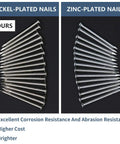 Zero Drama 120 Pack Of 2 Inch Nickel Plated Rust Proof Carbon Steel Hardware Nails for stress-free picture mounting comparison