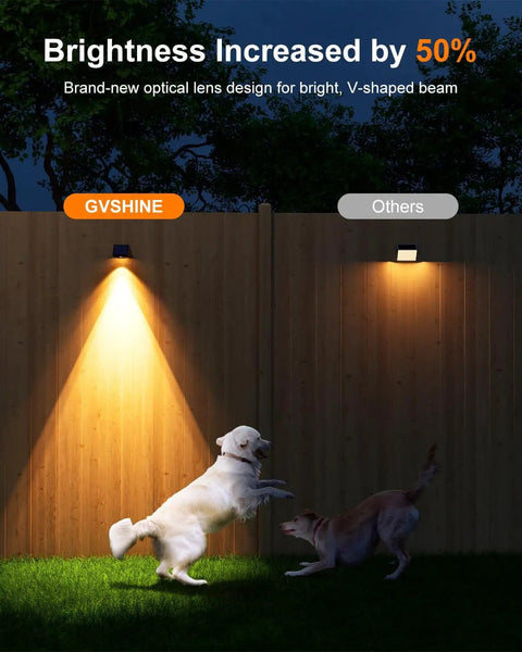 8 Pack Solar Fence Lights With Warm White LED Spot Lens installed on wooden fence, illuminating grass and dogs at night