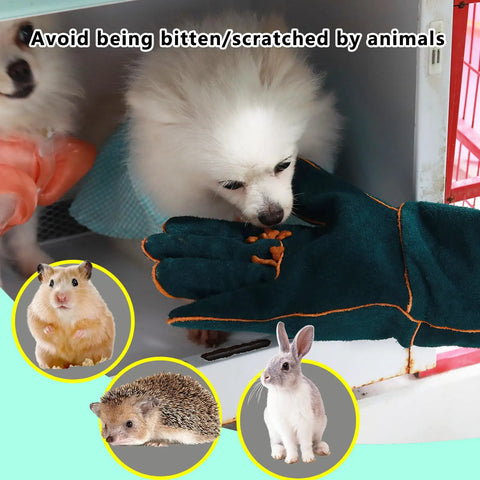 Heavy-Duty Leather Bite-Proof Animal Handling Gloves 23.7 Inch used with animals including dogs, hamster, hedgehog, and rabbit.