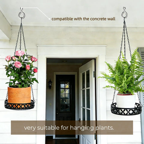 Image of 20 Pack M8 By 105mm Expansion Eyebolts In 304 Stainless Steel, securing hanging plants on a concrete wall.