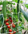 Heavy-Duty Garden Trellis Netting for Climbing Plants 6x15ft with tomatoes and cucumbers growing through the netting