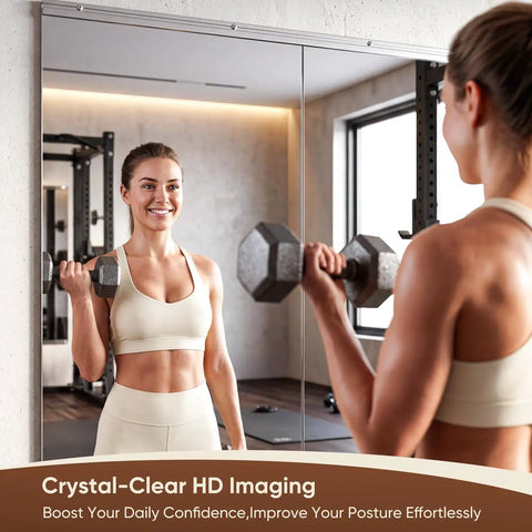 Two Piece Full Body Mirrors 48 By 24 Inches Frameless Tempered Glass Wall Mounted for gym workout reflection