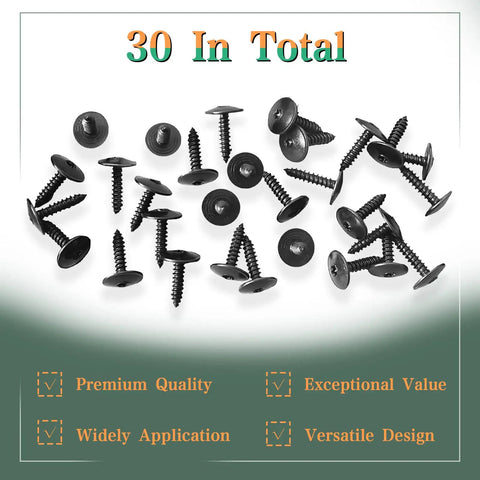 Hardcore Thirty Pack Fender Liner Screws Plus Splash Guard Bolts for Volkswagen Audi Porsche, black zinc screws, 30 count.