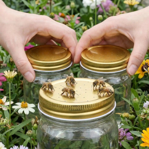 Eight Pack Mason Jar Bee Feeder Lids with Perforated Metal Entrance for Hive Water or Sugar Syrup, Leak Proof, Gold Finish