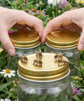 Beekeeping Beehive Entrance Feeder Lids Replacement Metal Caps For Regular Mouth Mason Jars Anti Rust Syrup Dispenser in garden