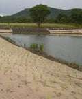 Contractor Grade Biodegradable 4 Inch Stakes 100 Count For Securing Weed Fabric Landscape Fabric Netting And Blankets installed