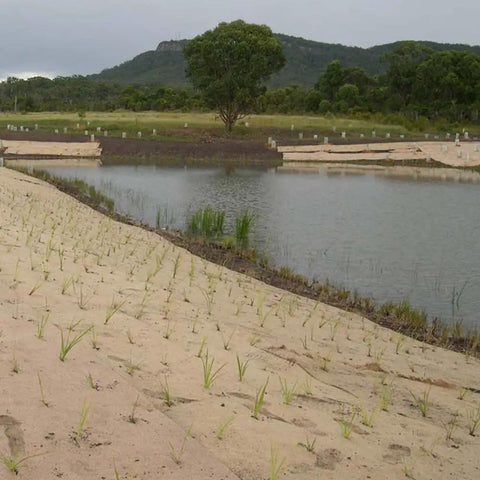 Contractor Grade Biodegradable 4 Inch Stakes 100 Count For Securing Weed Fabric Landscape Fabric Netting And Blankets installed