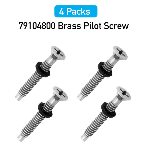 4 pack Heavy Duty Stainless Pool Light Screw Kit With Gasket Washers That Fits Pentair IntelliBrite Amerlite And SAM Amerlite Pool And Spa Lights Easy Install Weather Resistant Corrosion Proof, 79104800 brass pilot screws