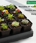 Heavy Duty Reusable Nursery Pot Tray Set Workhorse 5 Pack 24 Cell Seed Starter Trays For 2.8 Inch Pots BPA Free Durable Plastic With Drain Holes