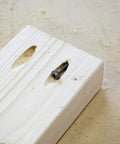 Number Eight By One And One Quarter Inch Round Washer Head Pocket Hole Screw with square drive in softwood for joinery