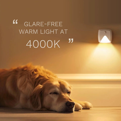 Six Pack Stick On Motion Sensor Lights With Easy Install Warm White LED Night Light illuminating a room next to a sleeping dog.