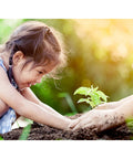 Child planting seedling in soil, demonstrating joy and connection with nature in a garden setting.