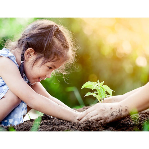 Child planting seedling in soil, demonstrating joy and connection with nature in a garden setting.