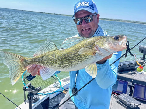 Angler holding a walleye, demonstrating Rock Runner Slip Bouncer Weight With Quick Change Sinker For Walleye Trolling In Sunrise Color.