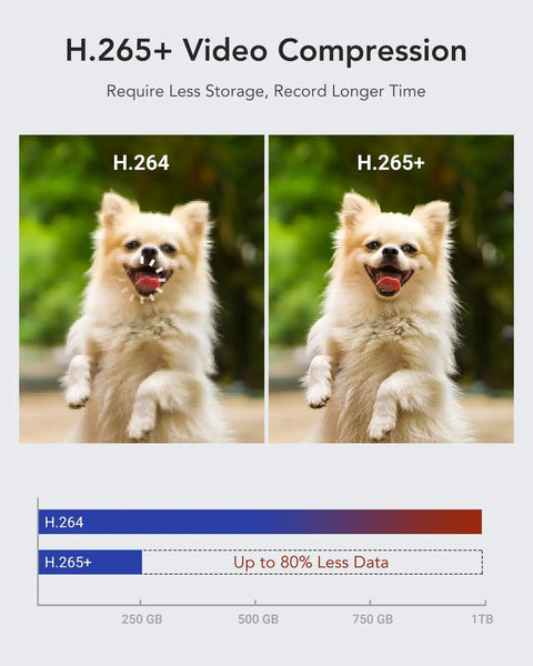Comparison of H.264 vs. H.265+ video compression efficiency in the 16 Channel 1080P Lite Security DVR With AI Human And Vehicle Detection H265 Plus Compression For Bandwidth Savings 5 In 1 Hybrid CCTV DVR For Surveillance Cameras Compatible With TVI AHD CVI CVBS And Extra IP No HDD, featuring a playful dog.