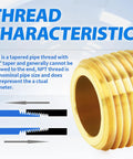 Brass Pipe Fitting Long Nipple One Eighth NPT Male to Female Four Inch Two Pack showing thread characteristics and taper angle