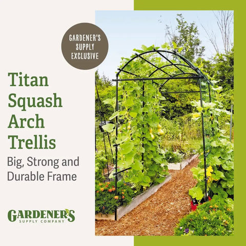 63 Inch Long 80 Inch Tall Garden Arch Arbor For Climbing Vines Heavy Duty Metal Trellis With Nylon Netting Polyethylene Coated Steel Tubing Outdoor Lawn Tower Base Width 65 Inches Supports Up To 70 Lbs with climbing vines in garden setting.