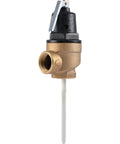1 Inch Inlet Water Pressure And Temperature Relief Valve, High Flow Brass Plumbing Fitting For Commercial Use, FVX 5L, Push To Connect, Easy Install, Durable Brass Body, side view