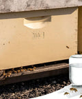Bee Entrance Feeder For Beehives 8 Pack Perforated Metal Mason Jar Lids Waterers shown at hive entrance with jar and bees