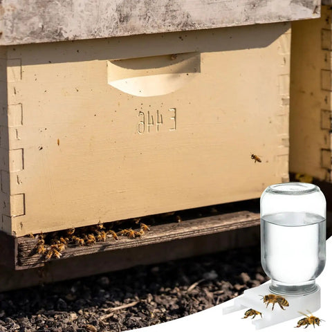 Bee Entrance Feeder For Beehives 8 Pack Perforated Metal Mason Jar Lids Waterers shown at hive entrance with jar and bees