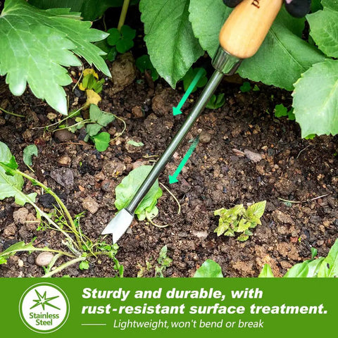 Gardener using Heavy Duty Hand Weeder With V Shaped Fork For Deep Root Uprooting Easy Garden Weed Puller Tool in soil