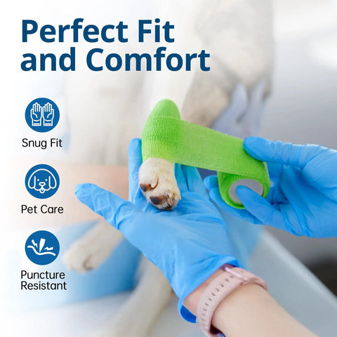 Person wrapping dog's paw with green bandage wearing Blue Nitrile Exam Gloves Disposable Latex Free Non Sterile Medical And Food Safe Powder Free 100