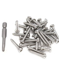 Solid 30 Pack Of Size 8 X 1-1/2 Torx Security Screws Pan Head Tamper Proof With Wrench 304 Stainless Steel Self Tapping Fits T20 Drive.