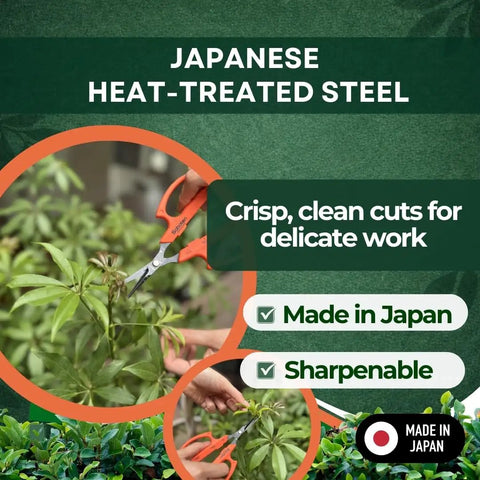 Workhorse 6.3 Inch Harvesting Shears With Magnetic Springless Action cutting plant, Made in Japan label visible
