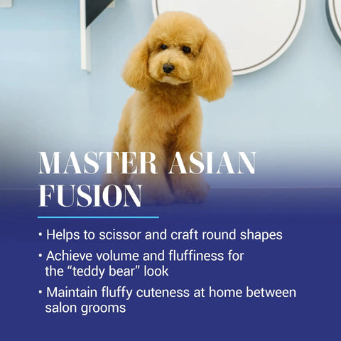 Golden poodle styled with Crescent Butter Comb Finishing Tool for Precision Detailing, showcasing rounded fluffy look.