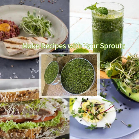 Collage of dishes using Pro Grade 9 Inch Stackable Stainless Steel Seed Sprouting Kit With 3 Tier Mesh Germination Trays sprouts