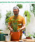 Man using Stackable Plant Trellis Kit For Potted Plants Indoor Outdoor Climbing Support For Pothos Hoya Ivy And Flowers 4 Pack