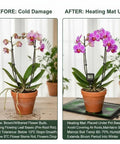 Before and after using Heat Mats For Plants With Thermostat Controller Two Pack 10 By 20 Inches Graphene Heating Technology