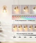 Vintage Rechargeable Wall Sconce Set With Amber Tulip Glass Shade And Wireless Remote For Zero Wiring Bedroom Decor, showcasing light temperature options.