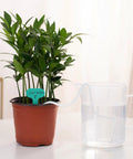 Plant pot connected to water jug with 15 Foot Self Watering Capillary Wick Cord for Plants and DIY Hydroponics.