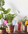 Eight Pack Self Watering Spikes For Plants With 60ml Bird Shape Automatic Watering Globes in potted indoor garden setup
