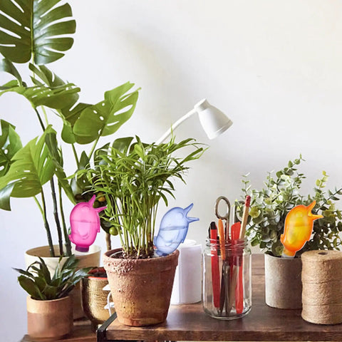 Eight Pack Self Watering Spikes For Plants With 60ml Bird Shape Automatic Watering Globes in potted indoor garden setup