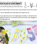 Reusable Bird Diaper With Waterproof Inner Layer For Cockatiels And Parrots with colorful designs and a green parrot wearing a diaper.