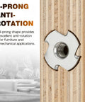 One Quarter Twenty Tee Nut 304 Stainless Steel Four Prong With Three Eighth Inch Barrel in wood insert showcasing anti-rotation.