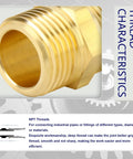 Half Inch NPT Brass Pipe Fitting Kit 12 Pack With Six Male Hex Nipples And Six Female Hex Couplings Thread Adapters For Plumbing Projects Built To Last Pro Grade Durable Corrosion Resistant DIY Ready brass male nipple close-up