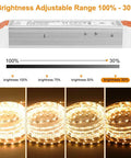 Dimmable LED Driver 120W 12V DC Power Supply For Christmas Lights with brightness range from 100% to 30% showing LED strips illumination.