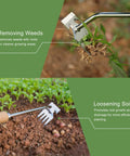 Four Tine Stainless Steel Weed Puller Tool With Solid Wood Handle removing weeds, highlighting rust resistant and anti detachment design.
